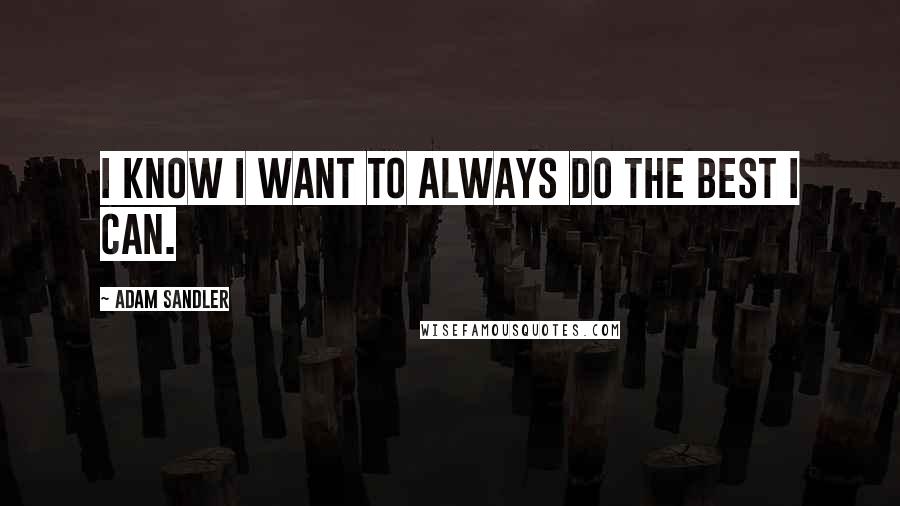 Adam Sandler Quotes: I know I want to always do the best I can.