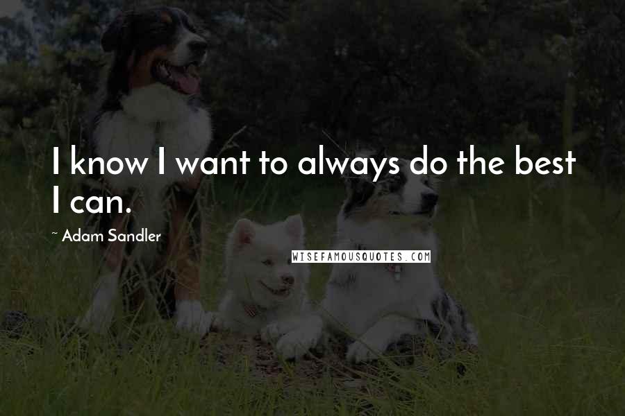 Adam Sandler Quotes: I know I want to always do the best I can.