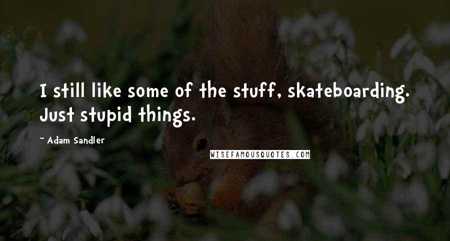 Adam Sandler Quotes: I still like some of the stuff, skateboarding. Just stupid things.