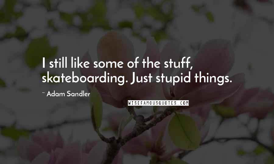 Adam Sandler Quotes: I still like some of the stuff, skateboarding. Just stupid things.