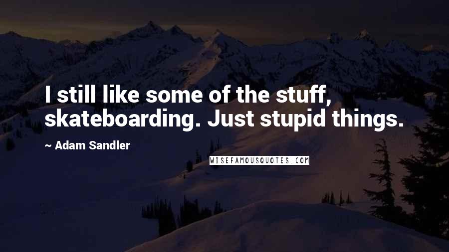 Adam Sandler Quotes: I still like some of the stuff, skateboarding. Just stupid things.