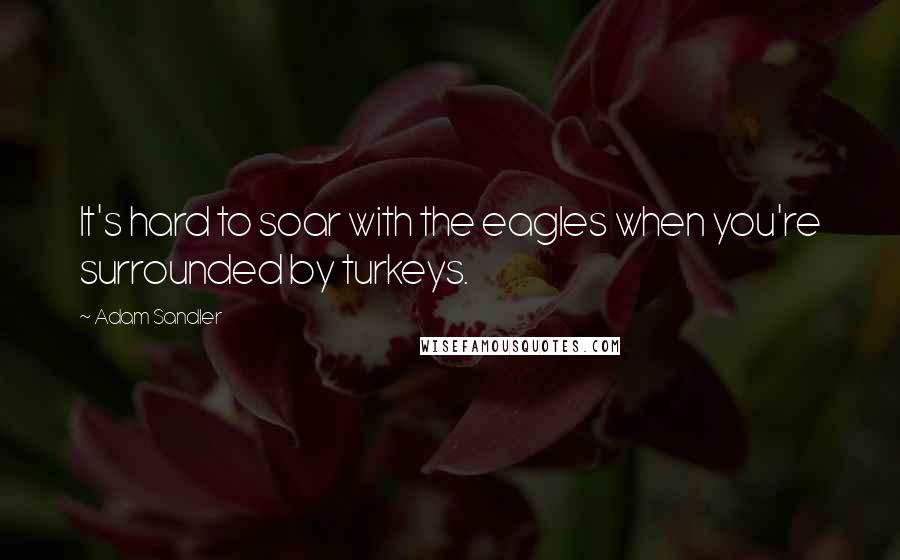 Adam Sandler Quotes: It's hard to soar with the eagles when you're surrounded by turkeys.