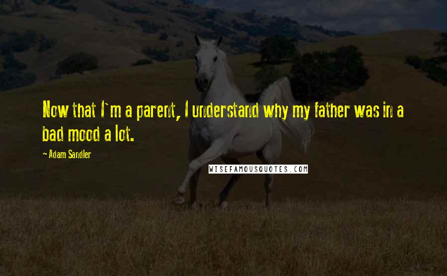 Adam Sandler Quotes: Now that I'm a parent, I understand why my father was in a bad mood a lot.