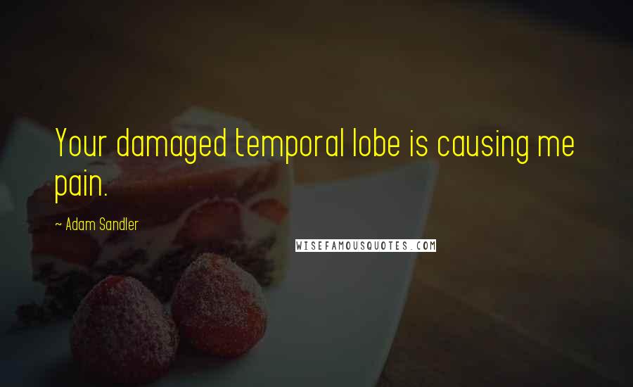 Adam Sandler Quotes: Your damaged temporal lobe is causing me pain.