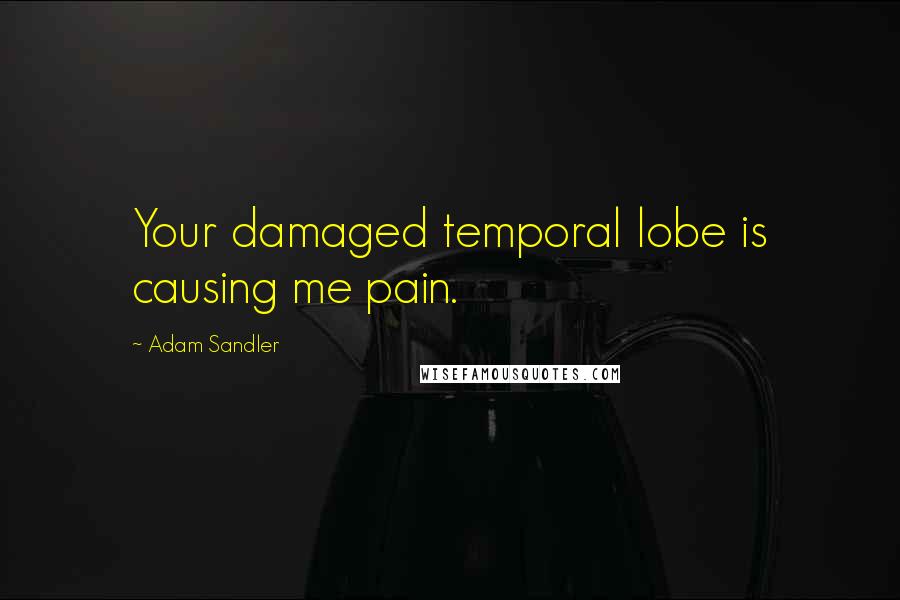 Adam Sandler Quotes: Your damaged temporal lobe is causing me pain.