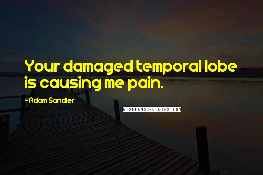 Adam Sandler Quotes: Your damaged temporal lobe is causing me pain.