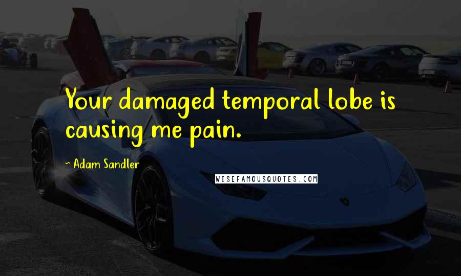 Adam Sandler Quotes: Your damaged temporal lobe is causing me pain.