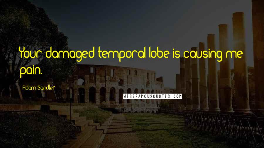 Adam Sandler Quotes: Your damaged temporal lobe is causing me pain.