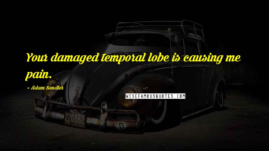Adam Sandler Quotes: Your damaged temporal lobe is causing me pain.