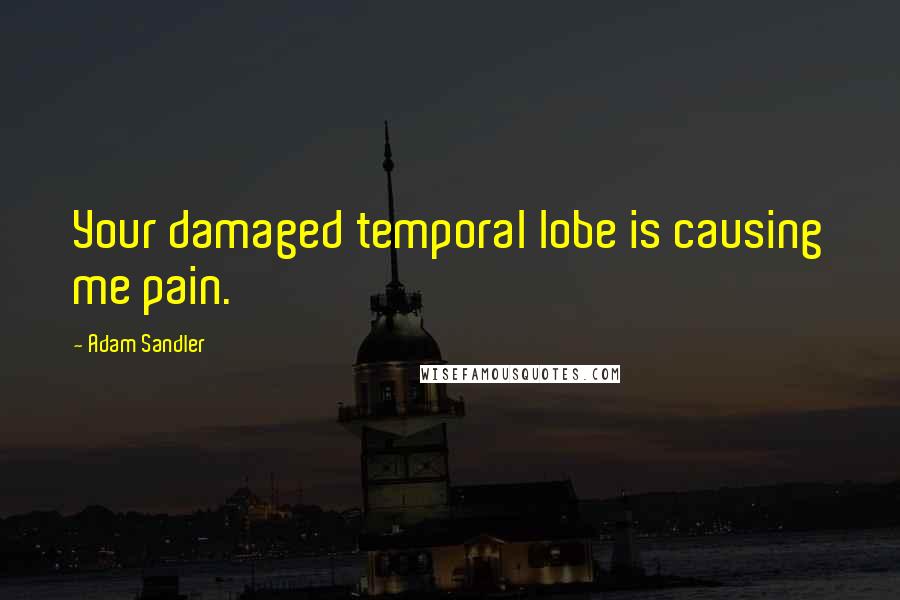 Adam Sandler Quotes: Your damaged temporal lobe is causing me pain.