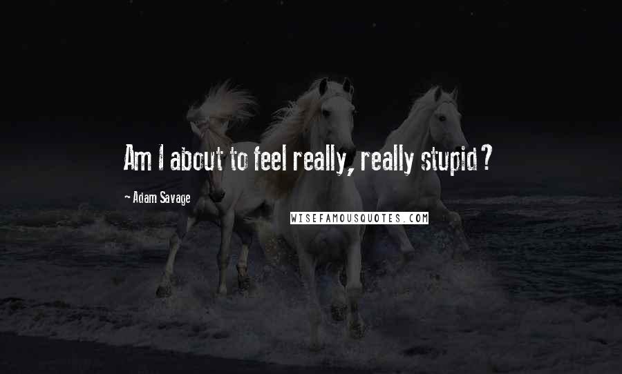 Adam Savage Quotes: Am I about to feel really, really stupid?