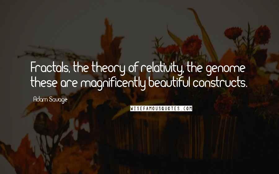 Adam Savage Quotes: Fractals, the theory of relativity, the genome: these are magnificently beautiful constructs.