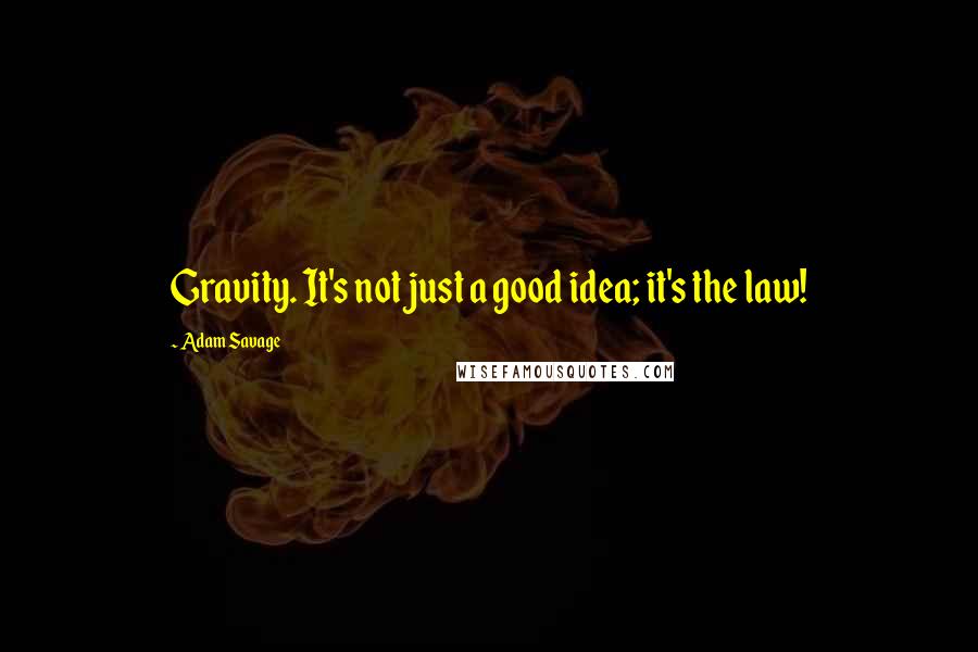 Adam Savage Quotes: Gravity. It's not just a good idea; it's the law!