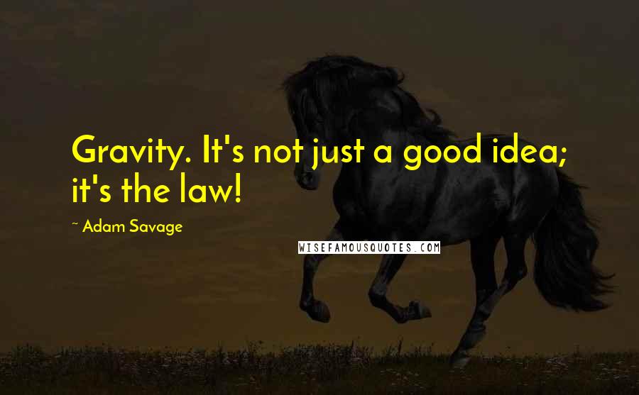 Adam Savage Quotes: Gravity. It's not just a good idea; it's the law!