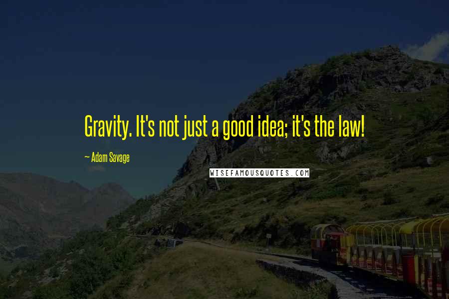 Adam Savage Quotes: Gravity. It's not just a good idea; it's the law!