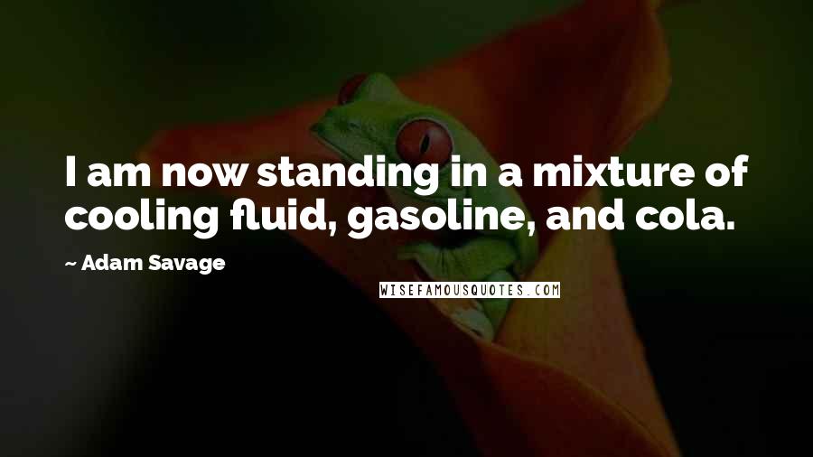 Adam Savage Quotes: I am now standing in a mixture of cooling fluid, gasoline, and cola.