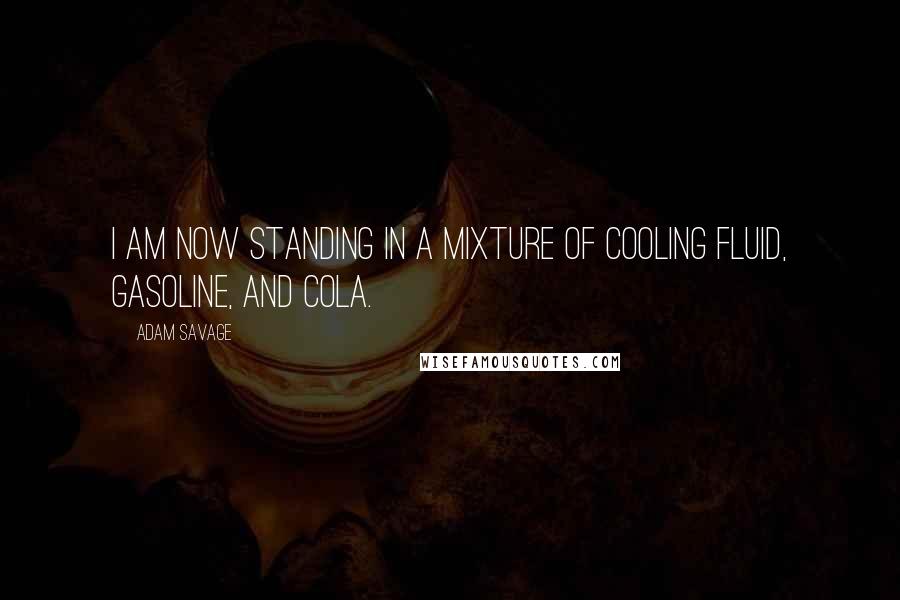 Adam Savage Quotes: I am now standing in a mixture of cooling fluid, gasoline, and cola.
