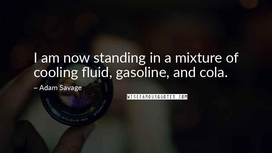 Adam Savage Quotes: I am now standing in a mixture of cooling fluid, gasoline, and cola.