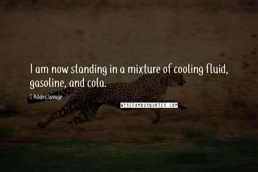 Adam Savage Quotes: I am now standing in a mixture of cooling fluid, gasoline, and cola.