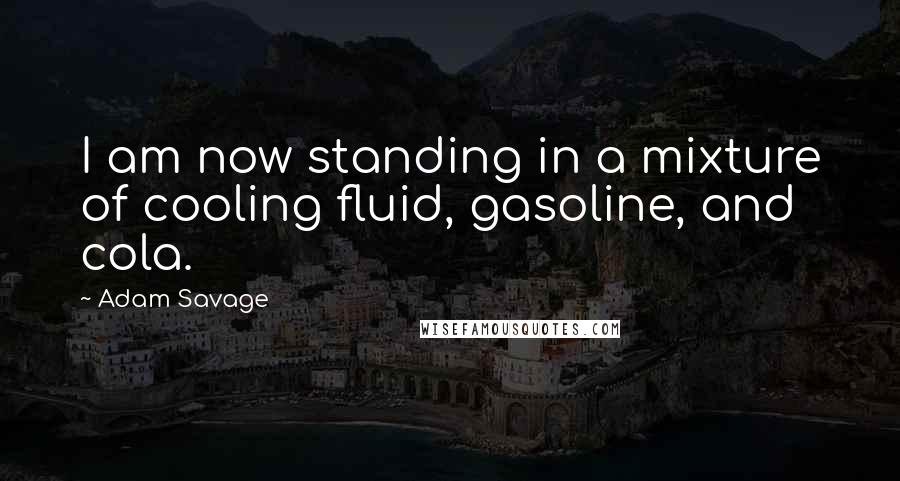 Adam Savage Quotes: I am now standing in a mixture of cooling fluid, gasoline, and cola.