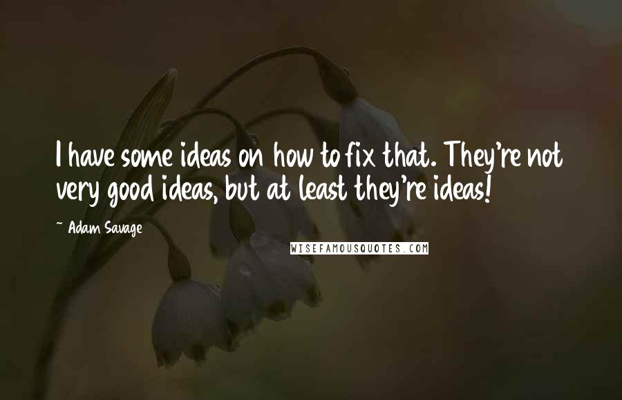 Adam Savage Quotes: I have some ideas on how to fix that. They're not very good ideas, but at least they're ideas!