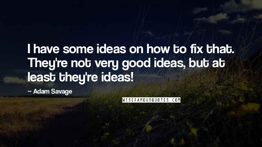 Adam Savage Quotes: I have some ideas on how to fix that. They're not very good ideas, but at least they're ideas!