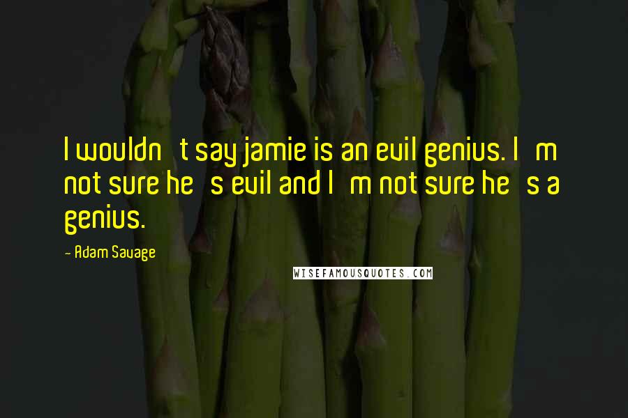 Adam Savage Quotes: I wouldn't say jamie is an evil genius. I'm not sure he's evil and I'm not sure he's a genius.