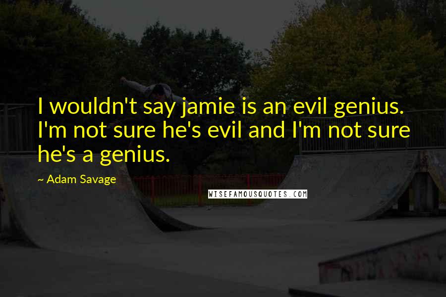 Adam Savage Quotes: I wouldn't say jamie is an evil genius. I'm not sure he's evil and I'm not sure he's a genius.