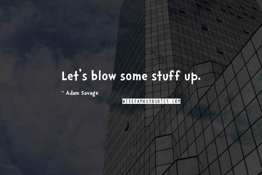 Adam Savage Quotes: Let's blow some stuff up.