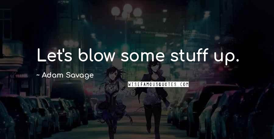 Adam Savage Quotes: Let's blow some stuff up.