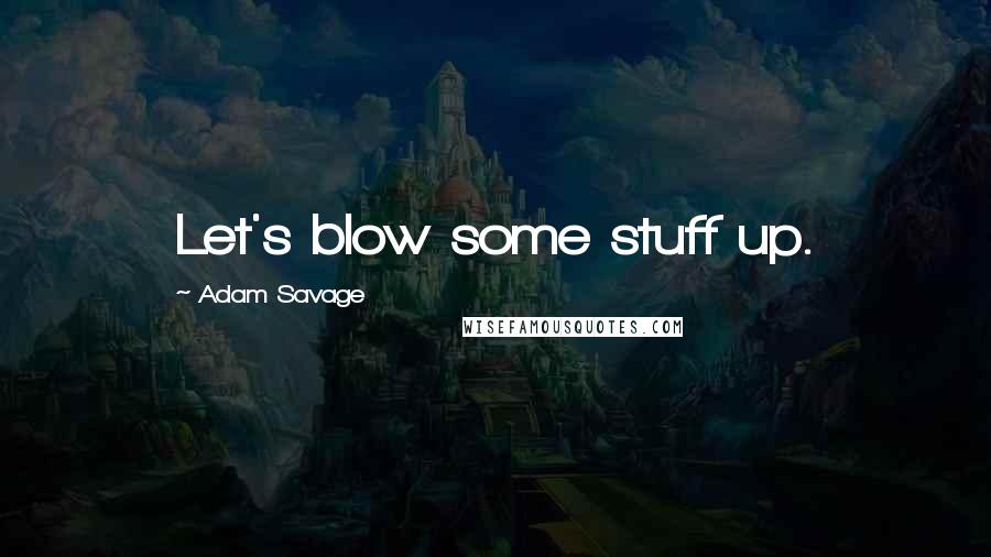 Adam Savage Quotes: Let's blow some stuff up.