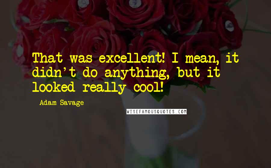 Adam Savage Quotes: That was excellent! I mean, it didn't do anything, but it looked really cool!