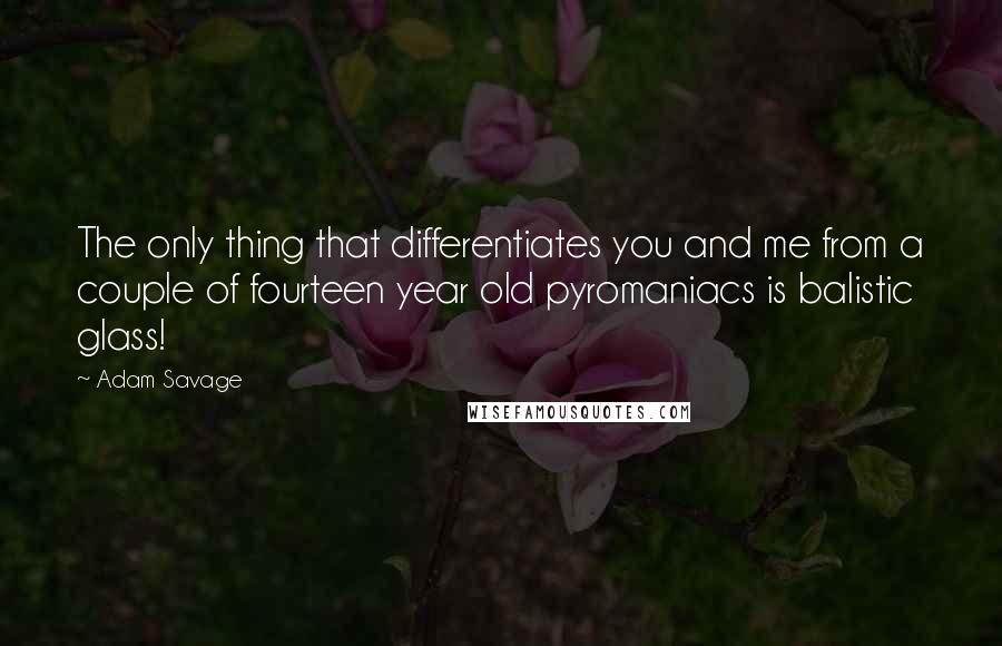 Adam Savage Quotes: The only thing that differentiates you and me from a couple of fourteen year old pyromaniacs is balistic glass!