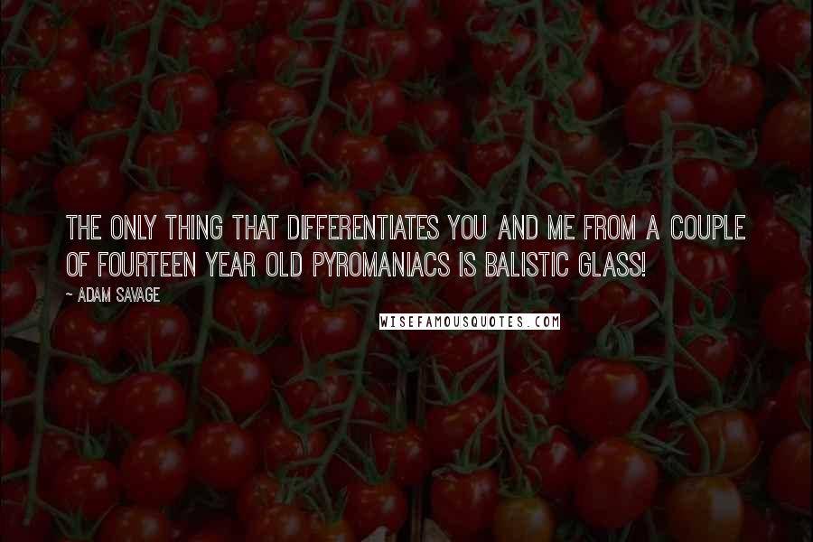 Adam Savage Quotes: The only thing that differentiates you and me from a couple of fourteen year old pyromaniacs is balistic glass!