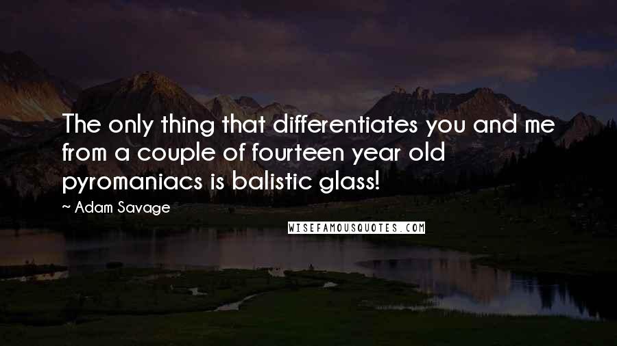 Adam Savage Quotes: The only thing that differentiates you and me from a couple of fourteen year old pyromaniacs is balistic glass!