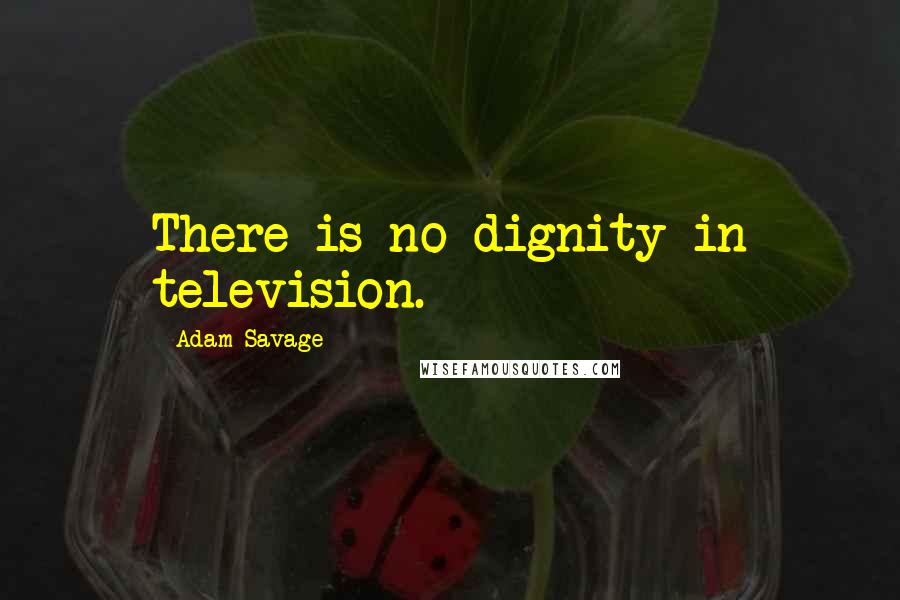 Adam Savage Quotes: There is no dignity in television.