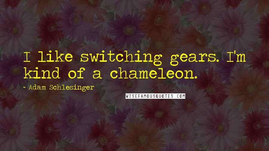 Adam Schlesinger Quotes: I like switching gears. I'm kind of a chameleon.