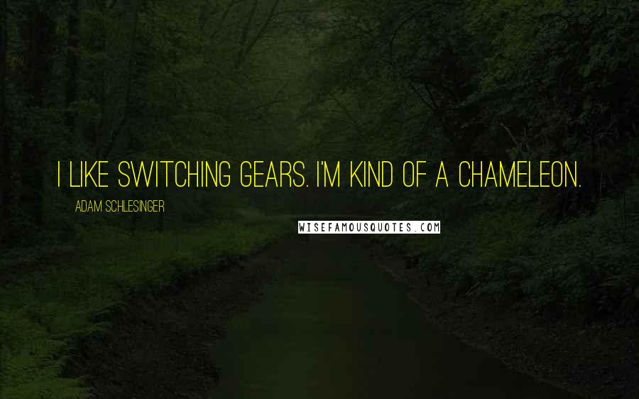 Adam Schlesinger Quotes: I like switching gears. I'm kind of a chameleon.