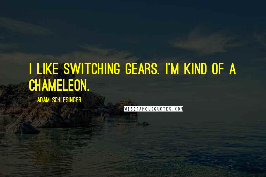Adam Schlesinger Quotes: I like switching gears. I'm kind of a chameleon.