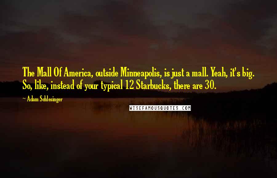 Adam Schlesinger Quotes: The Mall Of America, outside Minneapolis, is just a mall. Yeah, it's big. So, like, instead of your typical 12 Starbucks, there are 30.