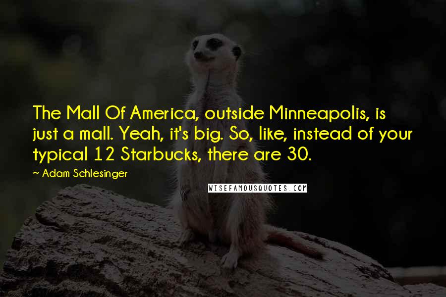 Adam Schlesinger Quotes: The Mall Of America, outside Minneapolis, is just a mall. Yeah, it's big. So, like, instead of your typical 12 Starbucks, there are 30.