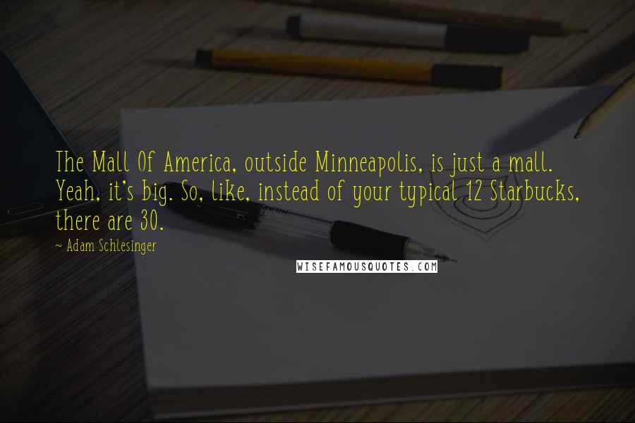 Adam Schlesinger Quotes: The Mall Of America, outside Minneapolis, is just a mall. Yeah, it's big. So, like, instead of your typical 12 Starbucks, there are 30.