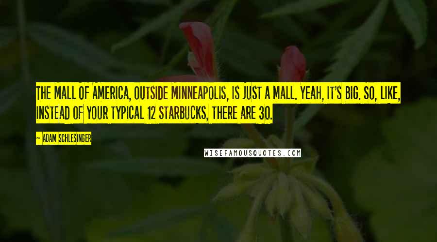 Adam Schlesinger Quotes: The Mall Of America, outside Minneapolis, is just a mall. Yeah, it's big. So, like, instead of your typical 12 Starbucks, there are 30.