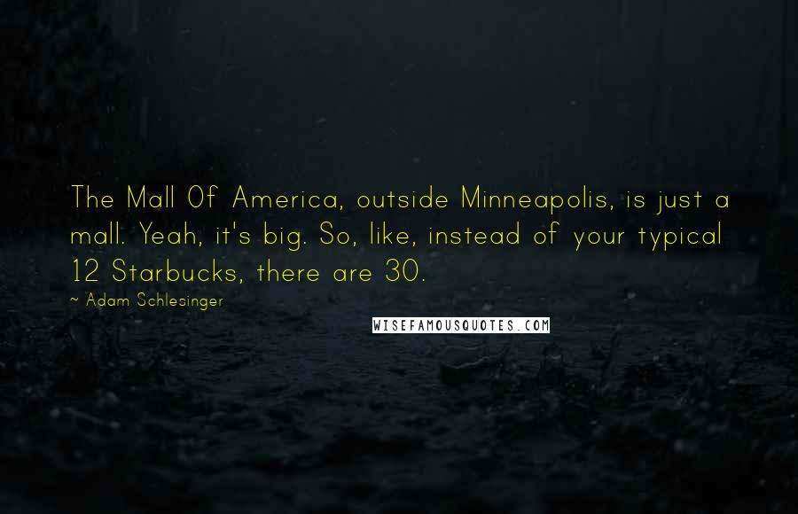 Adam Schlesinger Quotes: The Mall Of America, outside Minneapolis, is just a mall. Yeah, it's big. So, like, instead of your typical 12 Starbucks, there are 30.