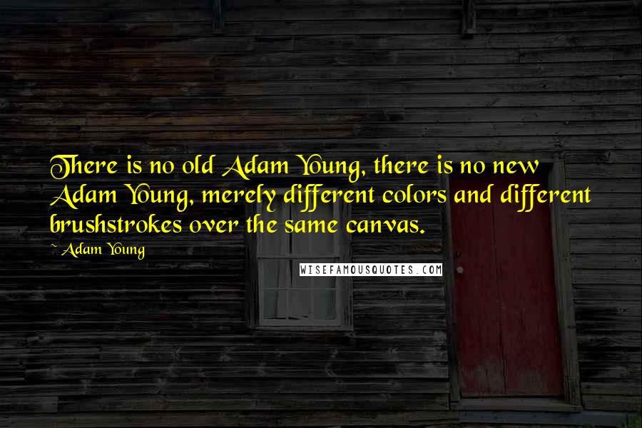 Adam Young Quotes: There is no old Adam Young, there is no new Adam Young, merely different colors and different brushstrokes over the same canvas.