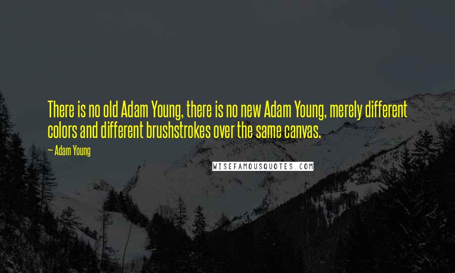 Adam Young Quotes: There is no old Adam Young, there is no new Adam Young, merely different colors and different brushstrokes over the same canvas.