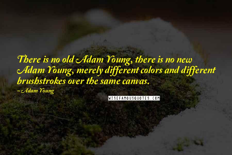 Adam Young Quotes: There is no old Adam Young, there is no new Adam Young, merely different colors and different brushstrokes over the same canvas.