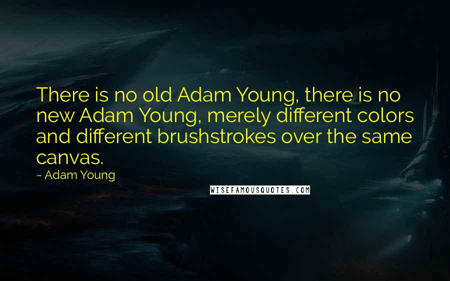 Adam Young Quotes: There is no old Adam Young, there is no new Adam Young, merely different colors and different brushstrokes over the same canvas.