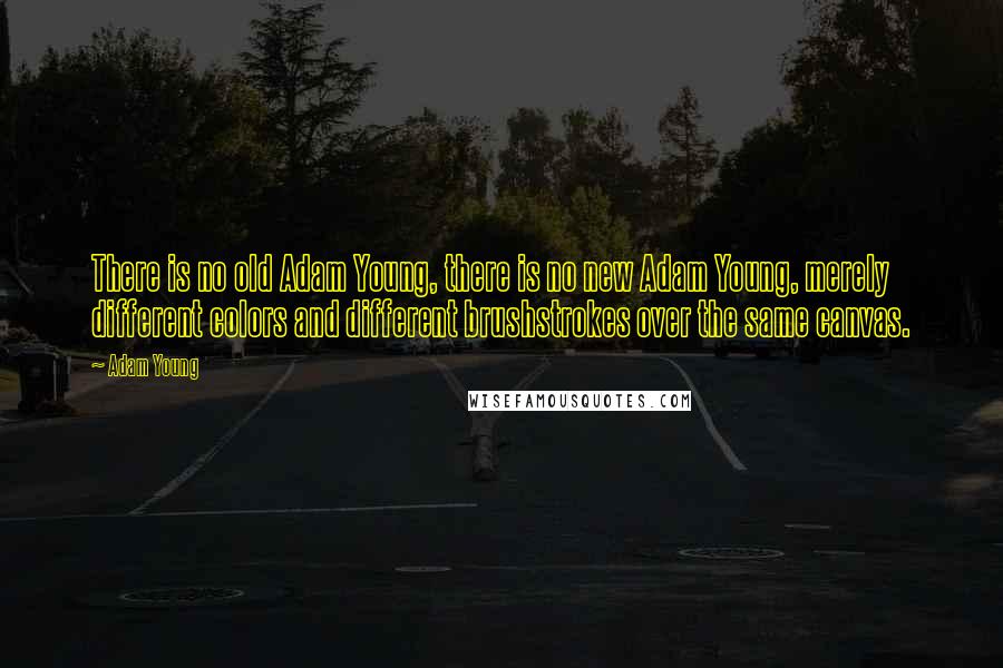 Adam Young Quotes: There is no old Adam Young, there is no new Adam Young, merely different colors and different brushstrokes over the same canvas.