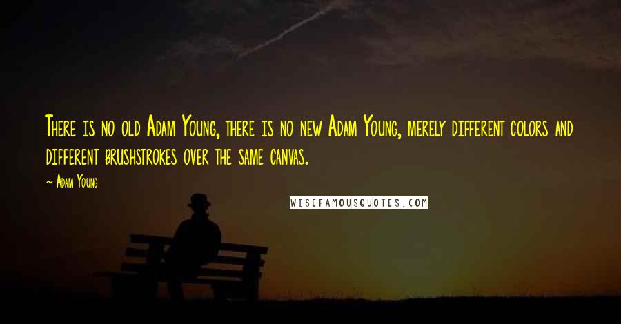 Adam Young Quotes: There is no old Adam Young, there is no new Adam Young, merely different colors and different brushstrokes over the same canvas.